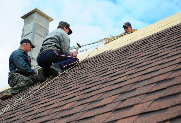 Best Commercial Roof Installation  in Leachville, AR