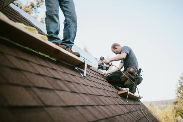Best Metal Roofing Contractor  in Leachville, AR